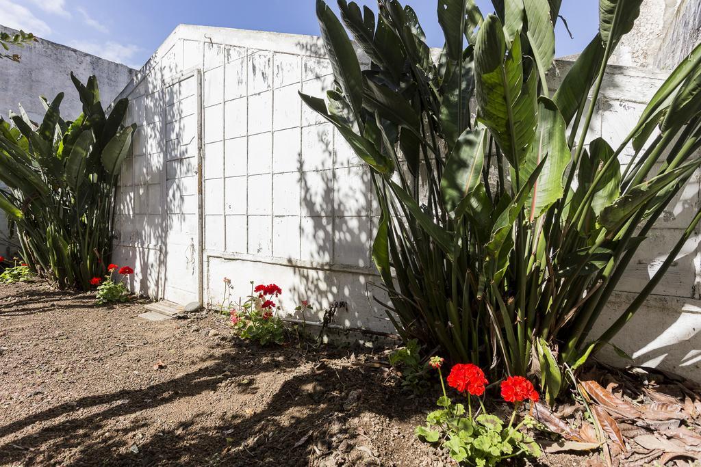 ポンタ・デルガダ Family House Gardenヴィラ 部屋 写真